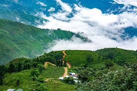 Darjeeling Image 5